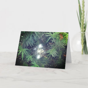 Cartes Pour Fêtes Annuelles Bulle de vacances