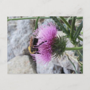 Cartes Pour Fêtes Annuelles Bumblebee récoltant une fleur de chardon pourpre