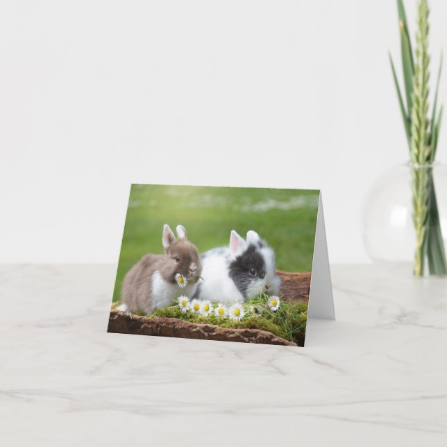 Cartes Pour Fêtes Annuelles Bunnies Avec Marguerites Pâques (Devant)