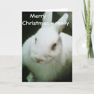 CARTES POUR FÊTES ANNUELLES BUNNY CÉLÈBRE "NOËL"