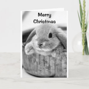 CARTES POUR FÊTES ANNUELLES BUNNY COMIQUE DIT **MERRY NOËL**