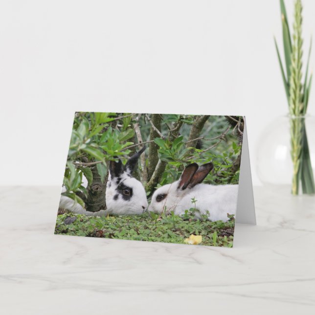 Cartes Pour Fêtes Annuelles Bunny Couple (Devant)