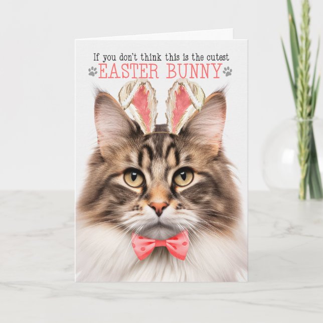Cartes Pour Fêtes Annuelles Bunny de chats norvégiens pour Pâques (Devant)