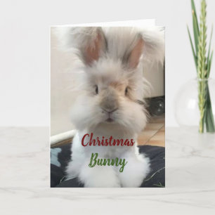 CARTES POUR FÊTES ANNUELLES **BUNNY DE NOËL POUR MON HONNEUR"