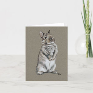 Cartes Pour Fêtes Annuelles Bunny Rabbit