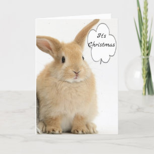 CARTES POUR FÊTES ANNUELLES BUNNY VIENT DIRE : "JEUNE NOËL*