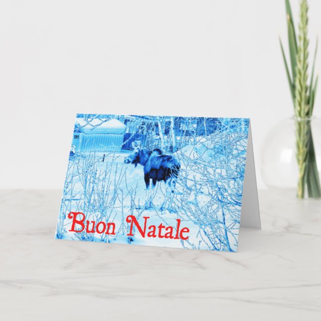 Cartes Pour Fêtes Annuelles Buon Natale - Oie urbaine (Devant)