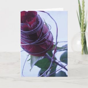 Cartes Pour Fêtes Annuelles Câblé 