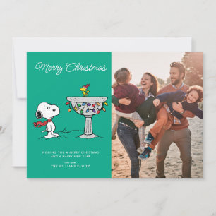 Cartes Pour Fêtes Annuelles cacahuètes Snoopy & Woodstock Froid Birdbath