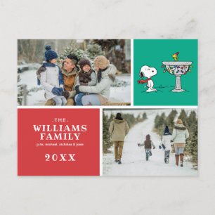 Cartes Pour Fêtes Annuelles cacahuètes Snoopy & Woodstock Froid Birdbath