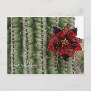 Cartes Pour Fêtes Annuelles Cactus