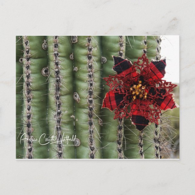 Cartes Pour Fêtes Annuelles Cactus (Devant)