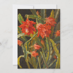 Cartes Pour Fêtes Annuelles Cactus de Noël   Christian Möllback
