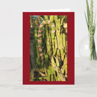 Cartes Pour Fêtes Annuelles Cactus de sucre de canne