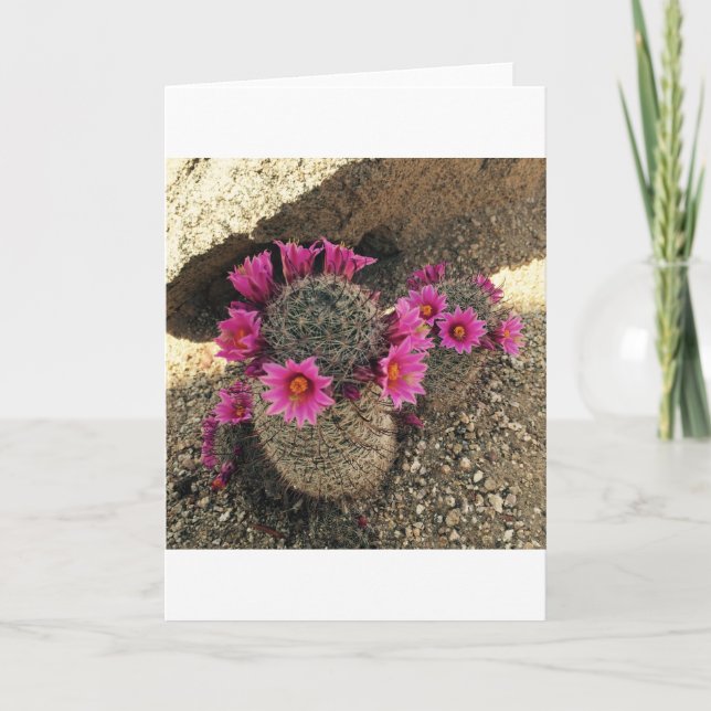 Cartes Pour Fêtes Annuelles Cactus rose en fleur (Devant)