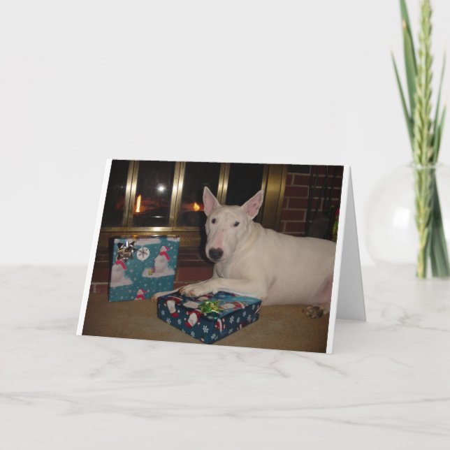 Cartes Pour Fêtes Annuelles cadeau de Noël anglais de bull-terrier (Devant)