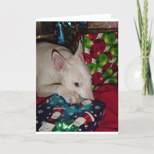 Cartes Pour Fêtes Annuelles cadeau de Noël anglais de bull-terrier
