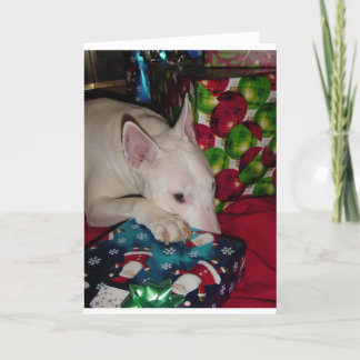 Cartes Pour Fêtes Annuelles cadeau de Noël anglais de bull-terrier