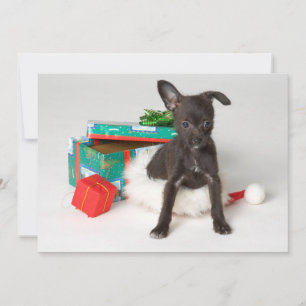Cartes Pour Fêtes Annuelles cadeau de Noël de chien