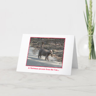 Cartes Pour Fêtes Annuelles Cadeau de Noël du Chat...