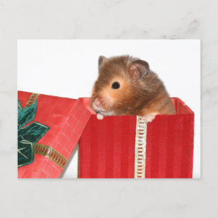 Cartes Pour Fêtes Annuelles cadeau de Noël Hamster