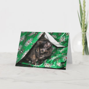 Cartes Pour Fêtes Annuelles Cadeau enveloppé tortue