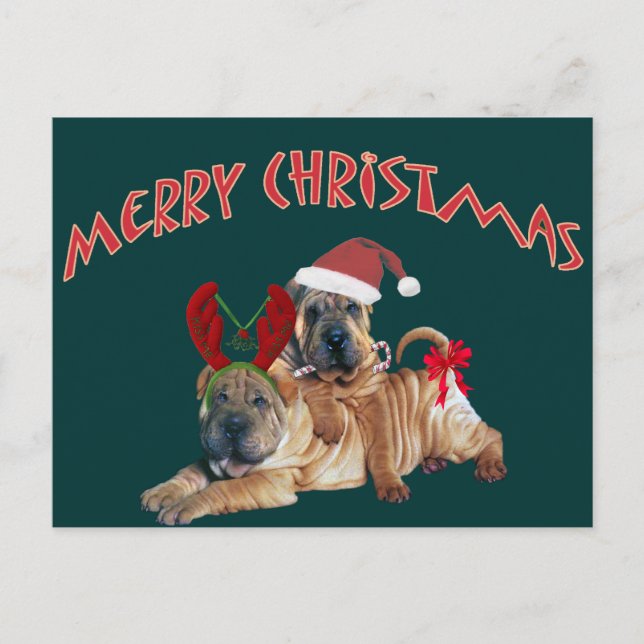 Cartes Pour Fêtes Annuelles Cadeaux de Joyeux Noël de Shar-pei de Chinois (Devant)