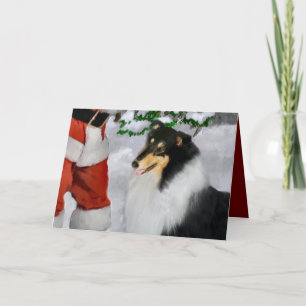 Cartes Pour Fêtes Annuelles Cadeaux de Noël Collie Rosée Tri-Color