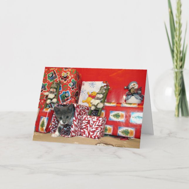 Cartes Pour Fêtes Annuelles Cadeaux de Noël de Bob - Chat / Kitten Noël (Devant)