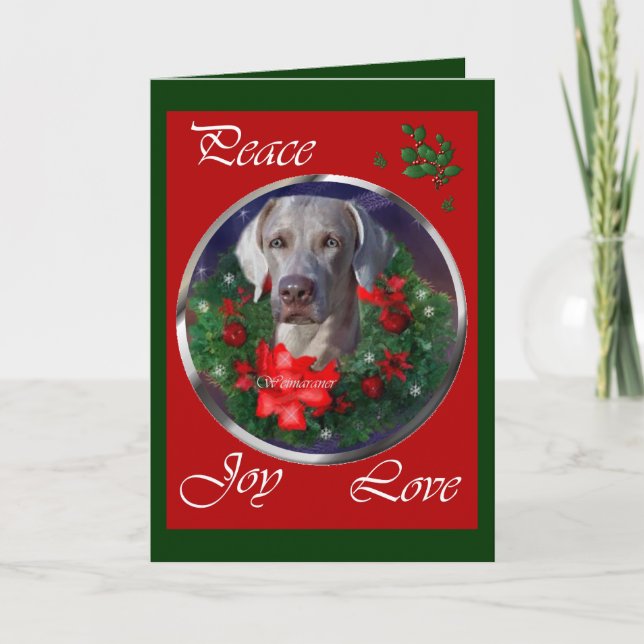 Cartes Pour Fêtes Annuelles Cadeaux de Noël de Weimaraner (Devant)
