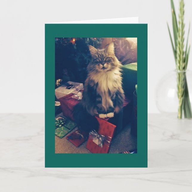 Cartes Pour Fêtes Annuelles Cadeaux de Noël et chat (Devant)