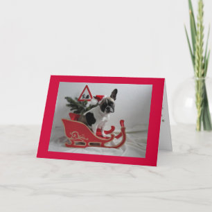 Cartes Pour Fêtes Annuelles Cadeaux de Noël pour Bouledogue Français