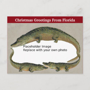Cartes Pour Fêtes Annuelles Cadre vintage Floride Alligator de Noël