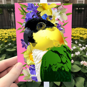 Cartes Pour Fêtes Annuelles Caique Parrot Joli Printemps Floral Animaux Animau