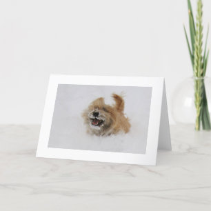 Cartes Pour Fêtes Annuelles Cairn Pounce