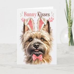 Cartes Pour Fêtes Annuelles Cairn Terrier Chien à Bunny Oreilles pour Pâques