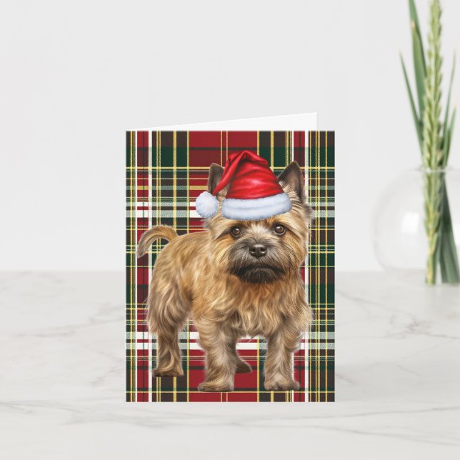 Cartes Pour Fêtes Annuelles Cairn Terrier Chien de Noël Joué Noël (Devant)