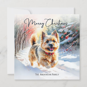 Cartes Pour Fêtes Annuelles Cairn Terrier en hiver neige Joyeux Noël