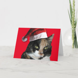 Cartes Pour Fêtes Annuelles Calico Cat avec un Casquette du Père Noël