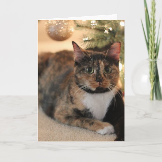Cartes Pour Fêtes Annuelles Calico Kitty sous l'arbre de Noël (Devant)