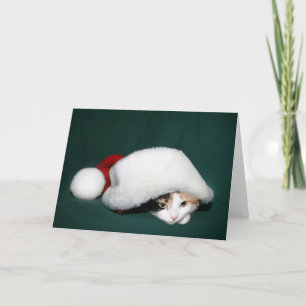 Cartes Pour Fêtes Annuelles Calico Santa