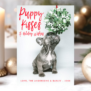 Cartes Pour Fêtes Annuelles Câlins et vœux de chiot Photo de chien mignon
