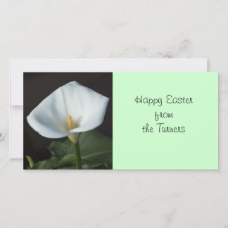 Cartes Pour Fêtes Annuelles Calla Lily