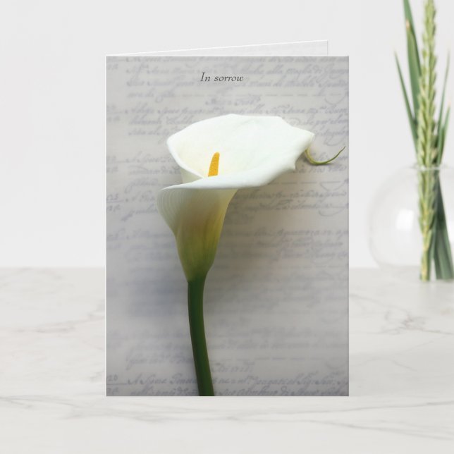 Cartes Pour Fêtes Annuelles Calla lily sur une vieille écriture sympathique (Devant)