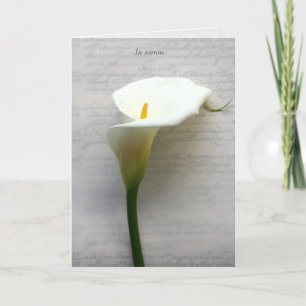 Cartes Pour Fêtes Annuelles Calla lily sur une vieille écriture sympathique
