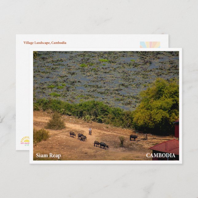 Cartes Pour Fêtes Annuelles Cambodian Village Landscape Postcard (Devant / Derrière)