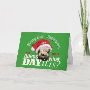Cartes Pour Fêtes Annuelles Camel de Noël