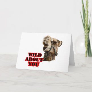Cartes Pour Fêtes Annuelles Camel Lover