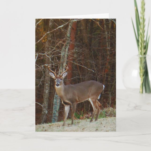 Cartes Pour Fêtes Annuelles Camouflage de chêne de cerfs communs de mâle/mâle (Devant)