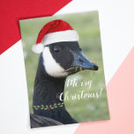 Cartes Pour Fêtes Annuelles Canada Goose Portant le Santa Hat Holiday<br><div class="desc">Une carte de voeux fantaisiste de Noël qui présente l'image d'une Oie du Canada portant un chapeau de Père Noël rouge et un collier de baies vitrées. Sélectionnez une carte de style mat ou brillant. Un design animal amusant pour la saison des fêtes !</div>